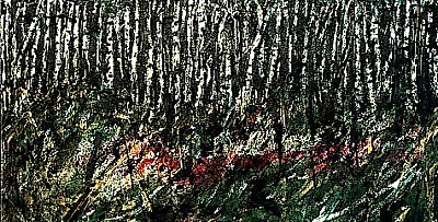 birkenwald01.jpg