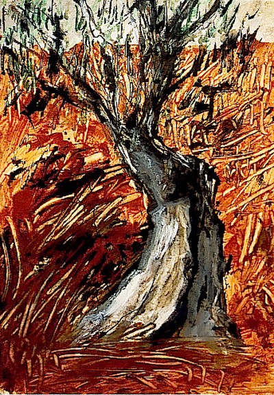 olivenbaum02.jpg